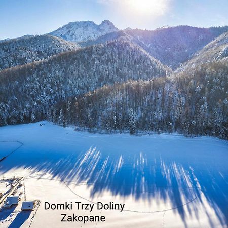 Domek Trzy Doliny Zakopane, Three Valleys Chalet With Jacuzzi 外观 照片