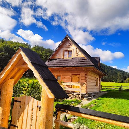 Domek Trzy Doliny Zakopane, Three Valleys Chalet With Jacuzzi 外观 照片