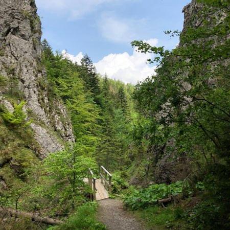 Domek Trzy Doliny Zakopane, Three Valleys Chalet With Jacuzzi 外观 照片